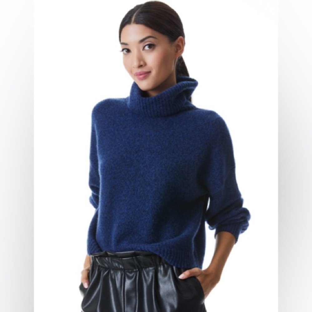 Alice + Olivia - Franklyn Turtleneck Pullover in Navy Multi